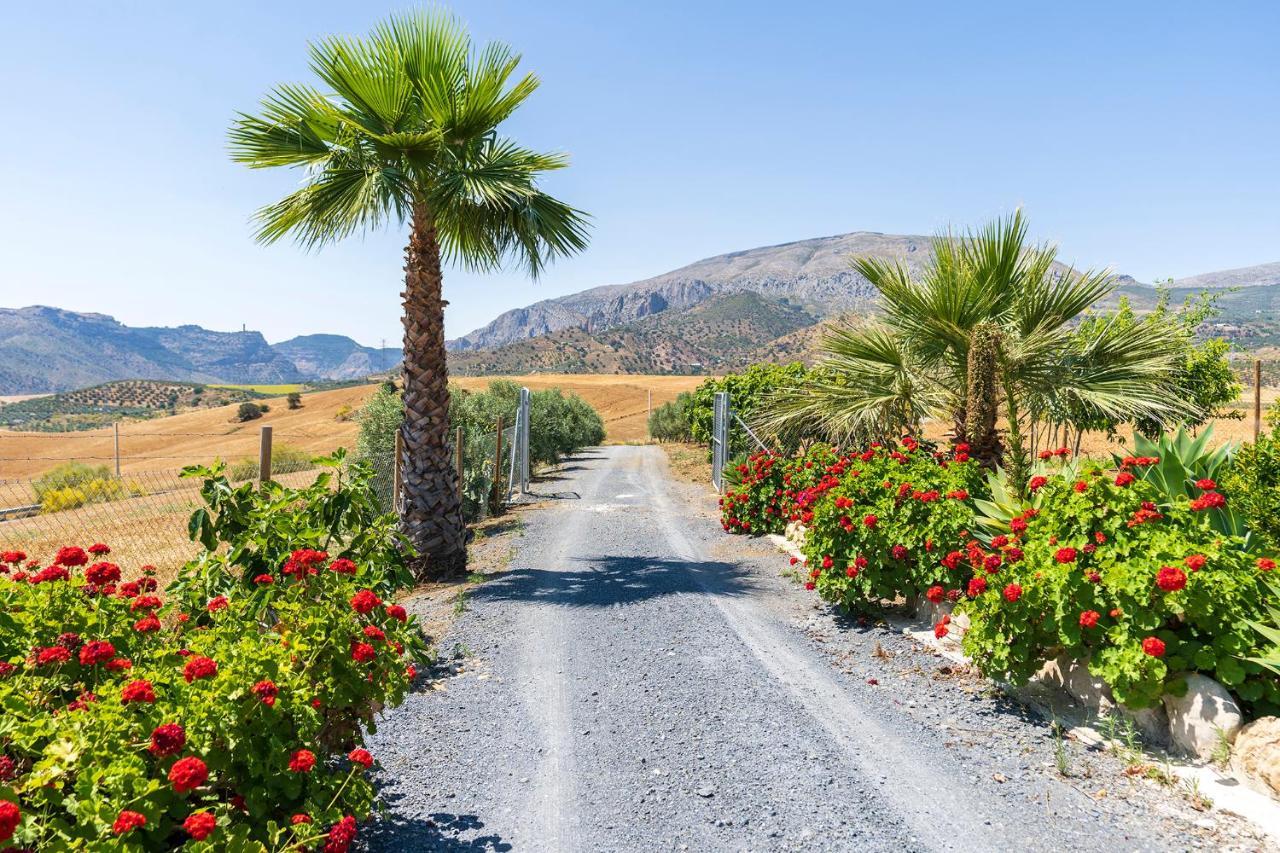 Alojamiento Rural La Era Del Quinto Bermejo ภายนอก รูปภาพ
